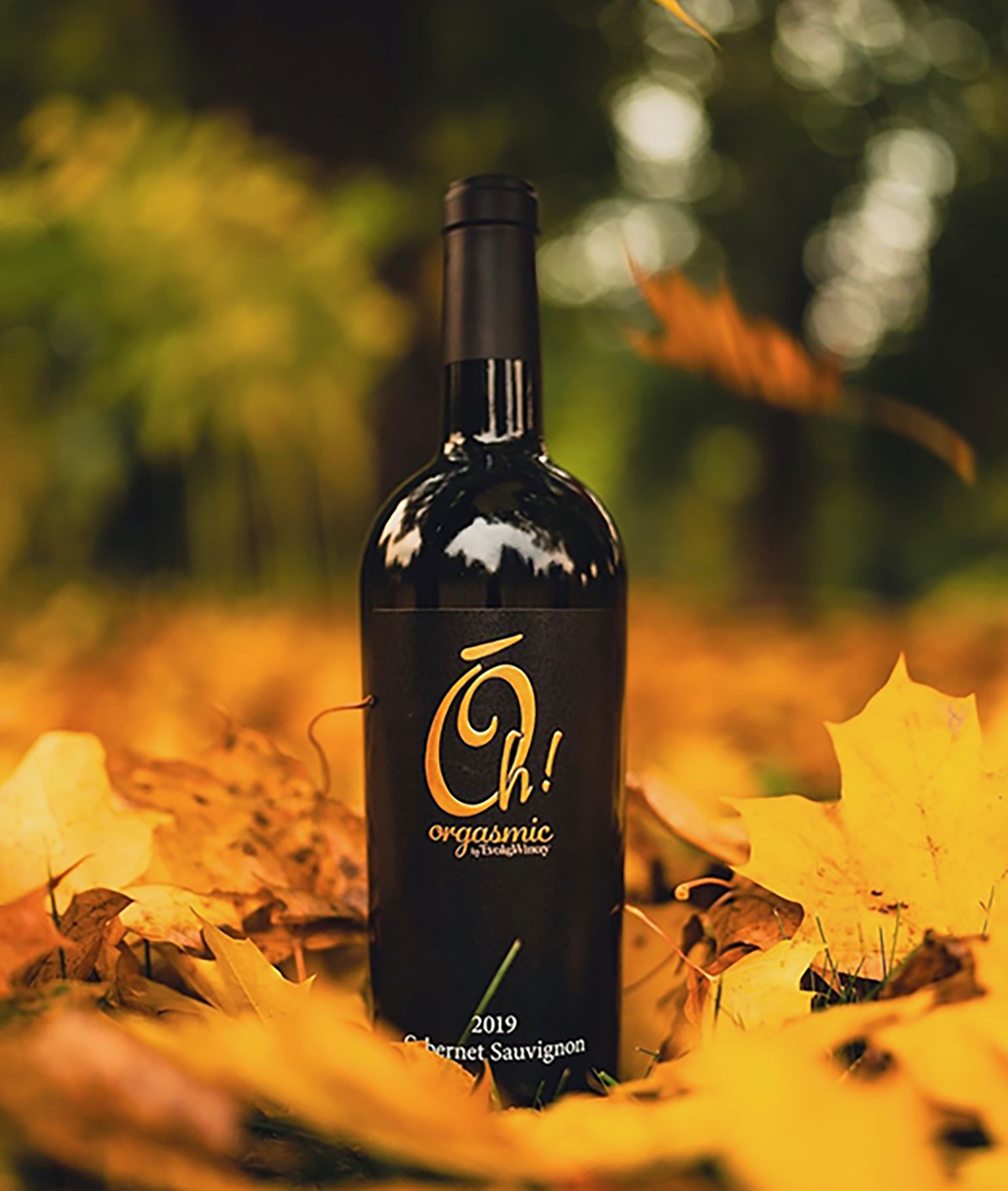 OH! ORGASMIC CABERNET SAUVIGNON - 2019 – Evoke Winery