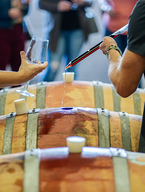 Barrel Tasting 2025